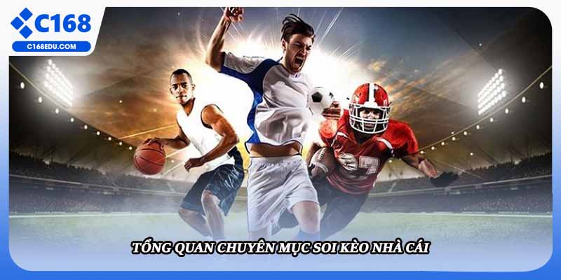 Tổng quan chuyên mục soi kèo nhà cái